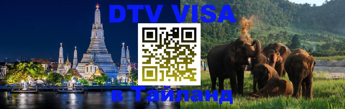 Оформление DTV визы под ключ: стоимость и тарифы, только загранпаспорт - 05.10.2025 